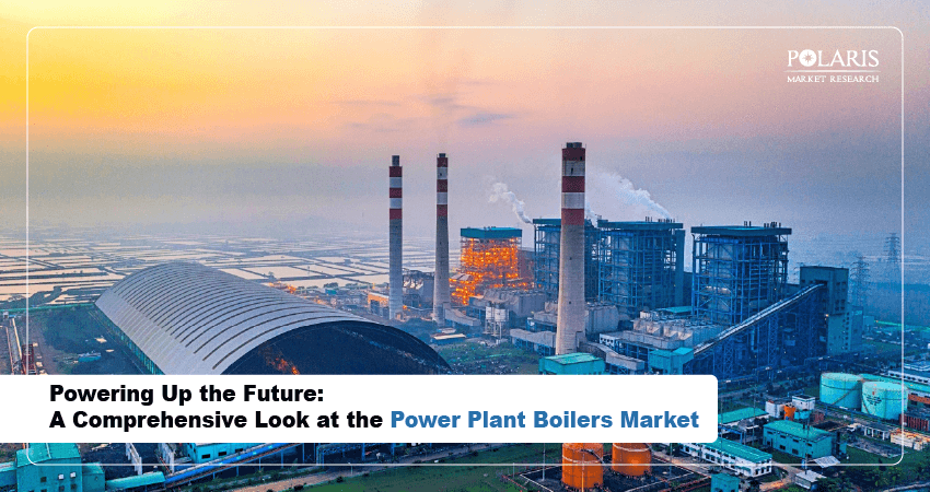 Powering Up the Future: A Comprehensive Look at the Power Plant Boilers Market